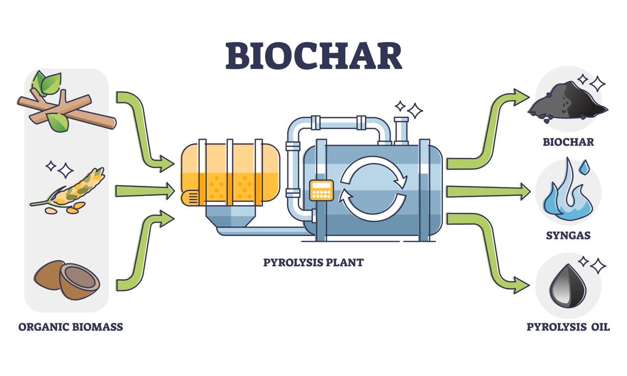 Is Biochar a ‘black gold’ solution to fight climate change?