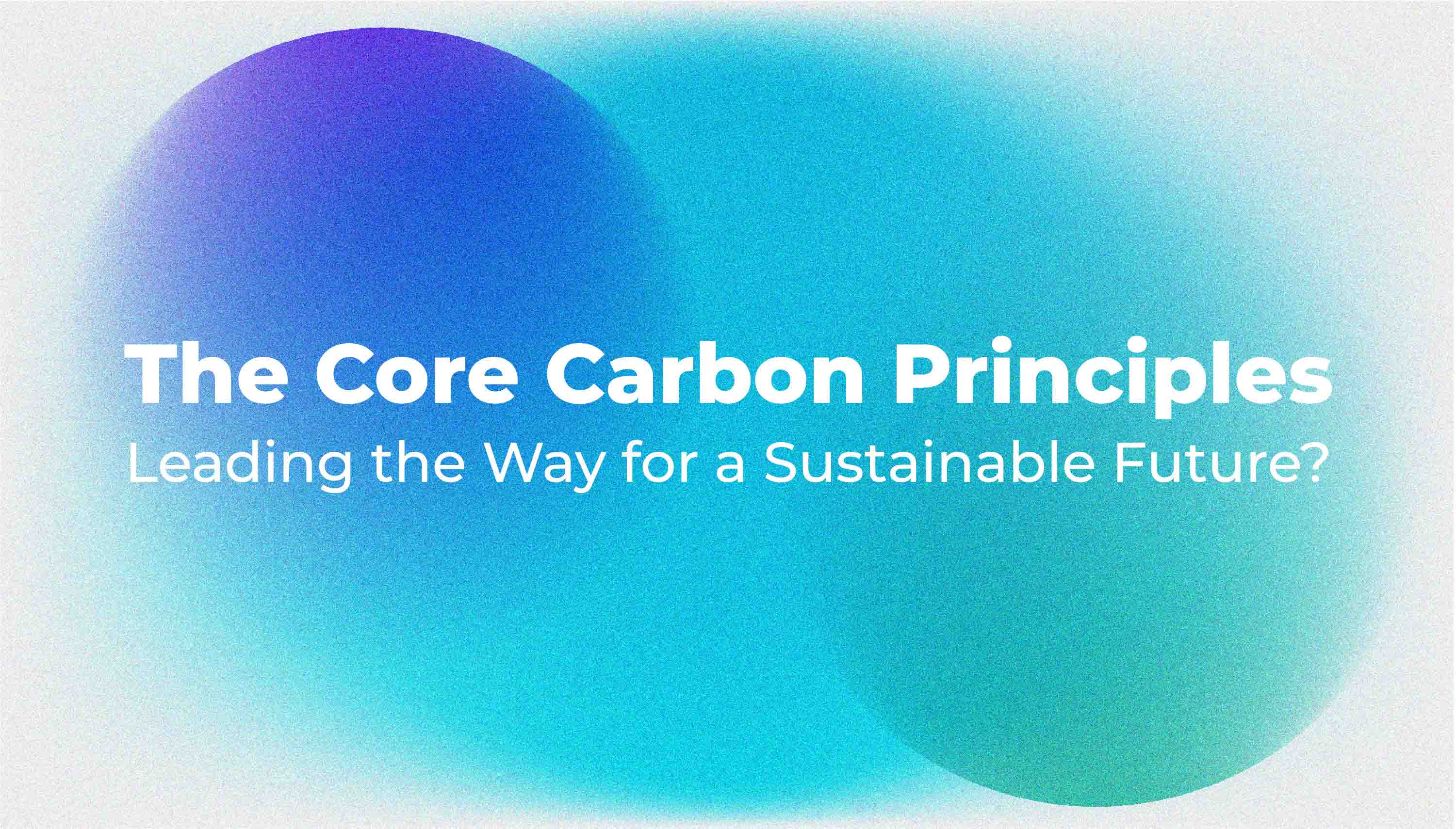 The Core Carbon Principles: Leading the Way for a Sustainable Future?