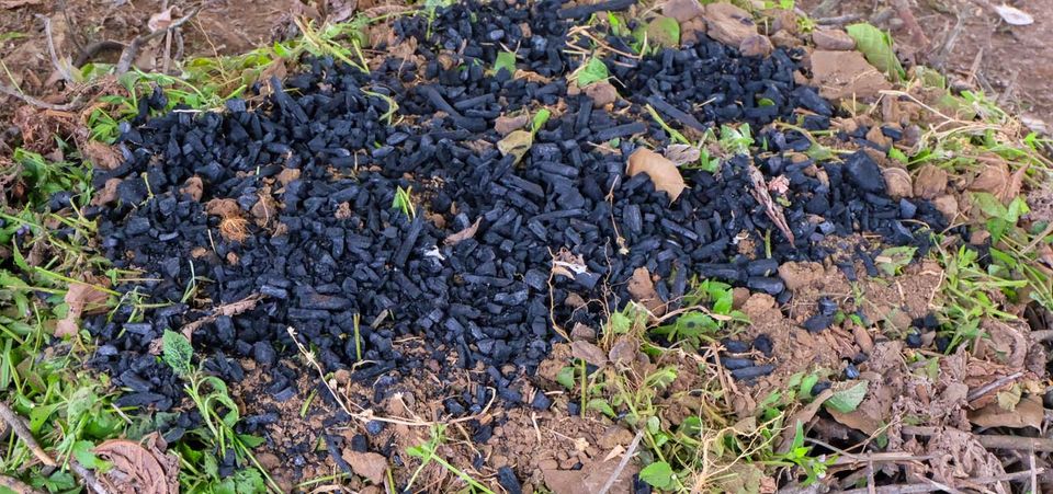 Is Biochar a ‘black gold’ solution to fight climate change?